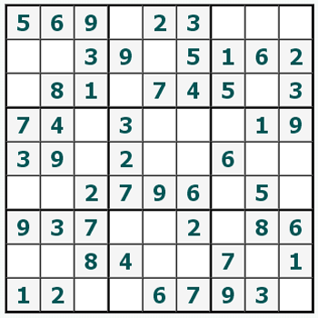 Skriv ut Sudoku #162