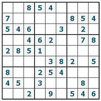 Skriv ut Sudoku #313