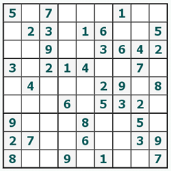 Sudoku on-line #338